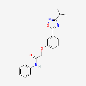 molecular formula C19H19N3O3 B7717402 2-(3-(3-isopropyl-1,2,4-oxadiazol-5-yl)phenoxy)-N-phenylacetamide 