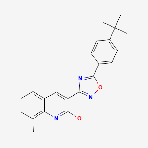 molecular formula C23H23N3O2 B7718116 5-(4-(tert-butyl)phenyl)-3-(2-methoxy-8-methylquinolin-3-yl)-1,2,4-oxadiazole 