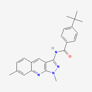 molecular formula C23H24N4O B7719116 4-(tert-butyl)-N-(1,7-dimethyl-1H-pyrazolo[3,4-b]quinolin-3-yl)benzamide 