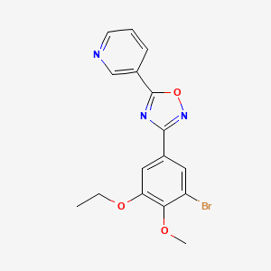 molecular formula C16H14BrN3O3 B7720919 3-(3-bromo-5-ethoxy-4-methoxyphenyl)-5-(pyridin-3-yl)-1,2,4-oxadiazole 