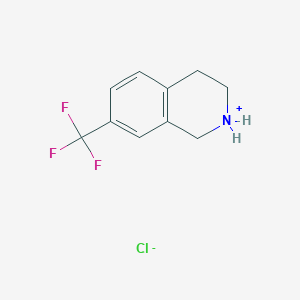 molecular formula C10H11ClF3N B7722385 1,2,3,4-Tetrahydro-7-(trifluoromethyl)isoquinoline Hydrochloride 