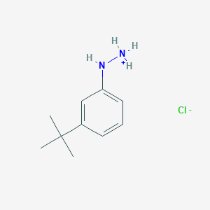 molecular formula C10H17ClN2 B7723227 (3-Tert-butylanilino)azanium;chloride 