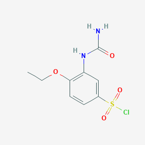 molecular formula C9H11ClN2O4S B7723917 5-Chlorosulfonyl-2-ethoxyphenyl urea 