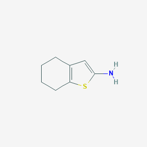 molecular formula C8H11NS B077260 4,5,6,7-Tetrahydrobenzo[b]thiophen-2-amine CAS No. 14770-79-7
