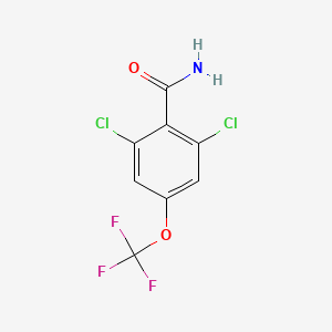 molecular formula C8H4Cl2F3NO2 B7726209 2,6-Dichloro-4-(trifluoromethoxy)benzamide 
