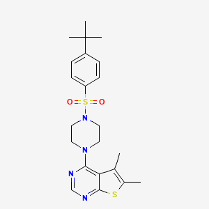 molecular formula C22H28N4O2S2 B7726936 4-[4-(4-Tert-butylphenyl)sulfonylpiperazin-1-yl]-5,6-dimethylthieno[2,3-d]pyrimidine 