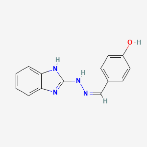 molecular formula C14H12N4O B7727596 4-{(E)-[2-(1H-benzimidazol-2-yl)hydrazinylidene]methyl}phenol 