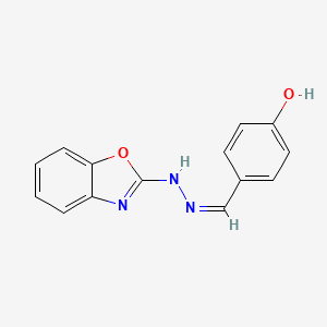 molecular formula C14H11N3O2 B7727598 4-{(Z)-[2-(1,3-benzoxazol-2-yl)hydrazinylidene]methyl}phenol 