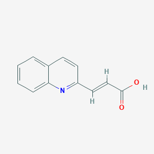 molecular formula C12H9NO2 B7728086 3-(2-Quinolinyl)acrylic acid CAS No. 6287-63-4