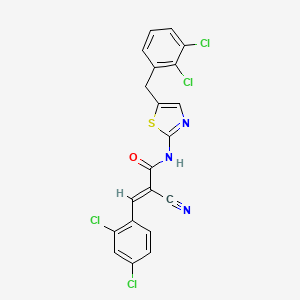molecular formula C20H11Cl4N3OS B7730298 (2E)-2-cyano-N-[5-(2,3-dichlorobenzyl)-1,3-thiazol-2-yl]-3-(2,4-dichlorophenyl)prop-2-enamide 