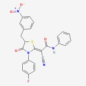molecular formula C25H17FN4O4S B7732565 (2Z)-2-cyano-2-[3-(4-fluorophenyl)-5-(3-nitrobenzyl)-4-oxo-1,3-thiazolidin-2-ylidene]-N-phenylethanamide 