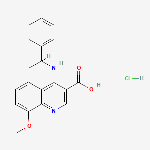 molecular formula C19H19ClN2O3 B7736589 8-Methoxy-4-(1-phenylethylamino)quinoline-3-carboxylic acid;hydrochloride 