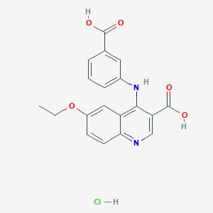 molecular formula C19H17ClN2O5 B7736636 4-(3-Carboxyanilino)-6-ethoxyquinoline-3-carboxylic acid;hydrochloride 