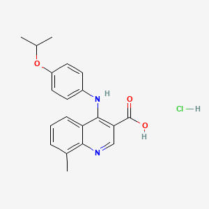 molecular formula C20H21ClN2O3 B7736638 8-Methyl-4-(4-propan-2-yloxyanilino)quinoline-3-carboxylic acid;hydrochloride 