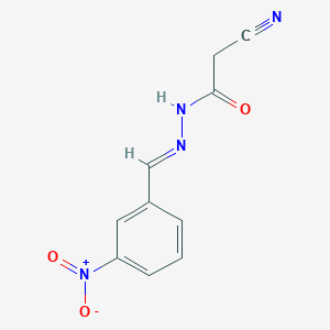 molecular formula C10H8N4O3 B7737529 2-cyano-N'-[(E)-(3-nitrophenyl)methylidene]acetohydrazide 