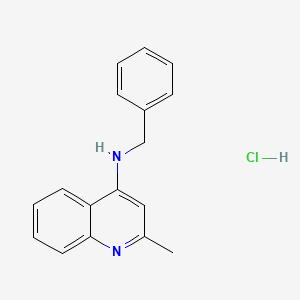 molecular formula C17H17ClN2 B7739258 Benzyl-(2-methyl-quinolin-4-yl)-amine 