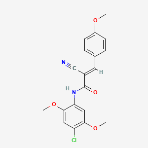molecular formula C19H17ClN2O4 B7741152 (E)-N-(4-chloro-2,5-dimethoxyphenyl)-2-cyano-3-(4-methoxyphenyl)acrylamide 