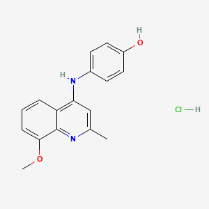 molecular formula C17H17ClN2O2 B7742582 4-[(8-Methoxy-2-methylquinolin-4-yl)amino]phenol;hydrochloride 