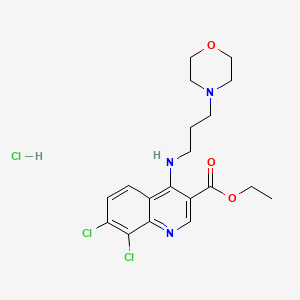 molecular formula C19H24Cl3N3O3 B7742833 C19H24Cl3N3O3 