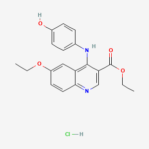 molecular formula C20H21ClN2O4 B7742908 Ethyl 6-ethoxy-4-(4-hydroxyanilino)quinoline-3-carboxylate;hydrochloride 
