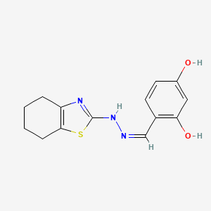 molecular formula C14H15N3O2S B7742971 4-{(Z)-[2-(4,5,6,7-tetrahydro-1,3-benzothiazol-2-yl)hydrazinylidene]methyl}benzene-1,3-diol 