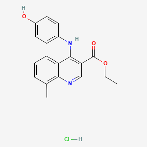 molecular formula C19H19ClN2O3 B7743008 Ethyl 4-(4-hydroxyanilino)-8-methylquinoline-3-carboxylate;hydrochloride 
