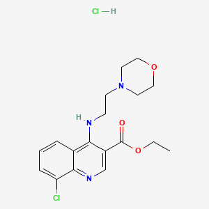 molecular formula C18H23Cl2N3O3 B7743030 C18H23Cl2N3O3 