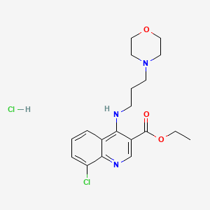 molecular formula C19H25Cl2N3O3 B7743032 C19H25Cl2N3O3 