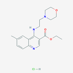 molecular formula C19H26ClN3O3 B7743038 Ethyl 6-methyl-4-[(2-morpholin-4-ylethyl)amino]quinoline-3-carboxylate 