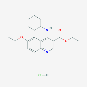 molecular formula C20H27ClN2O3 B7743062 Ethyl 4-(cyclohexylamino)-6-ethoxyquinoline-3-carboxylate;hydrochloride 