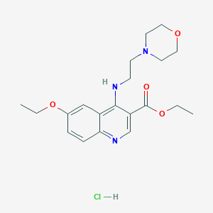 molecular formula C20H28ClN3O4 B7743063 Ethyl 6-ethoxy-4-(2-morpholin-4-ylethylamino)quinoline-3-carboxylate;hydrochloride 