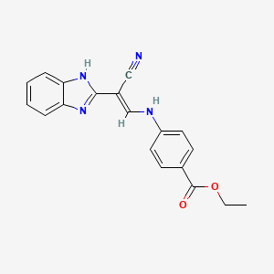 molecular formula C19H16N4O2 B7743361 ethyl 4-[[(E)-2-(1H-benzimidazol-2-yl)-2-cyanoethenyl]amino]benzoate 