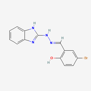 molecular formula C14H11BrN4O B7743556 5-bromo-2-hydroxybenzaldehyde 1H-benzimidazol-2-ylhydrazone 