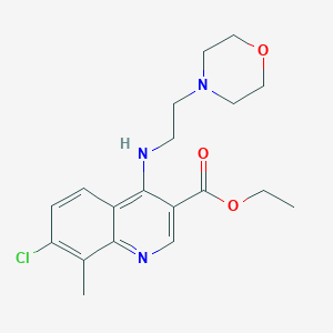 molecular formula C19H24ClN3O3 B7743906 Ethyl 7-chloro-8-methyl-4-((2-morpholinoethyl)amino)quinoline-3-carboxylate 