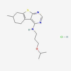 molecular formula C17H26ClN3OS B7744563 (3-Isopropoxy-propyl)-(7-methyl-5,6,7,8-tetrahydro-benzo[4,5]thieno[2,3-d]pyrimidin-4-yl)-amine 