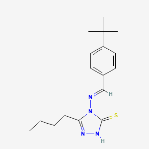 molecular formula C17H24N4S B7746075 3-butyl-4-[(E)-(4-tert-butylphenyl)methylideneamino]-1H-1,2,4-triazole-5-thione 