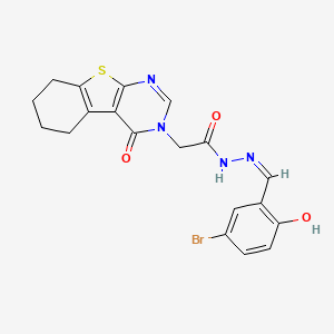molecular formula C19H17BrN4O3S B7748307 N-[(Z)-(5-bromo-2-hydroxyphenyl)methylideneamino]-2-(4-oxo-5,6,7,8-tetrahydro-[1]benzothiolo[2,3-d]pyrimidin-3-yl)acetamide 