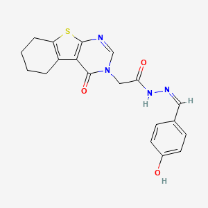 molecular formula C19H18N4O3S B7748311 N-[(Z)-(4-hydroxyphenyl)methylideneamino]-2-(4-oxo-5,6,7,8-tetrahydro-[1]benzothiolo[2,3-d]pyrimidin-3-yl)acetamide 