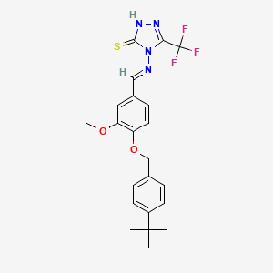 molecular formula C22H23F3N4O2S B7748576 4-[(E)-[4-[(4-tert-butylphenyl)methoxy]-3-methoxyphenyl]methylideneamino]-3-(trifluoromethyl)-1H-1,2,4-triazole-5-thione 
