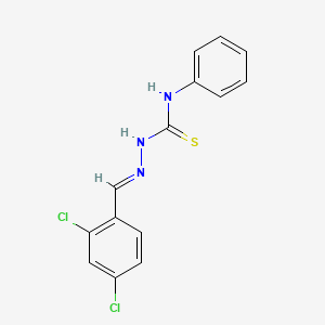 molecular formula C14H11Cl2N3S B7748992 2,4-dichlorobenzaldehyde N-phenylthiosemicarbazone CAS No. 93354-01-9