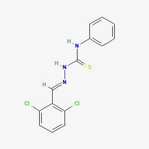 molecular formula C14H11Cl2N3S B7749833 2,6-dichlorobenzaldehyde N-phenylthiosemicarbazone CAS No. 340223-23-6