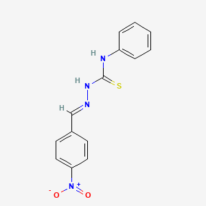 molecular formula C14H12N4O2S B7749881 4-nitrobenzaldehyde N-phenylthiosemicarbazone CAS No. 55753-69-0