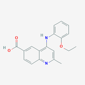molecular formula C19H18N2O3 B7750633 4-[(2-Ethoxyphenyl)amino]-2-methylquinoline-6-carboxylic acid 