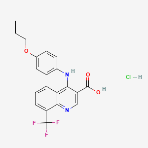 molecular formula C20H18ClF3N2O3 B7750654 4-(4-Propoxyanilino)-8-(trifluoromethyl)quinoline-3-carboxylic acid;hydrochloride 