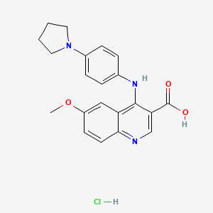 molecular formula C21H22ClN3O3 B7750680 6-Methoxy-4-(4-pyrrolidin-1-ylanilino)quinoline-3-carboxylic acid;hydrochloride 