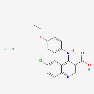 6-Chloro-4-(4-propoxyanilino)quinoline-3-carboxylic acid;hydrochloride