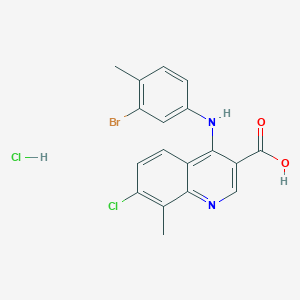 molecular formula C18H15BrCl2N2O2 B7750726 4-(3-Bromo-4-methylanilino)-7-chloro-8-methylquinoline-3-carboxylic acid;hydrochloride 