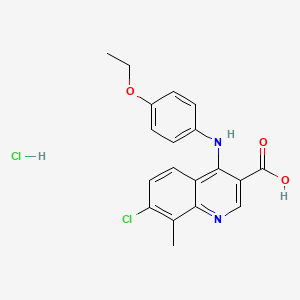 molecular formula C19H18Cl2N2O3 B7750744 7-Chloro-4-(4-ethoxyanilino)-8-methylquinoline-3-carboxylic acid;hydrochloride 