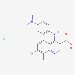 molecular formula C19H19Cl2N3O2 B7750751 7-Chloro-4-[4-(dimethylamino)anilino]-8-methylquinoline-3-carboxylic acid;hydrochloride 