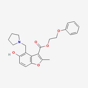 molecular formula C23H25NO5 B7752371 2-Phenoxyethyl 5-hydroxy-2-methyl-4-(pyrrolidin-1-ylmethyl)-1-benzofuran-3-carboxylate 